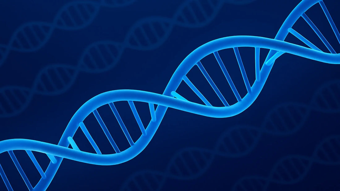 Healthy DNA Strand in Blue