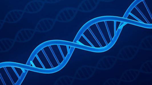 Healthy DNA Strand in Blue